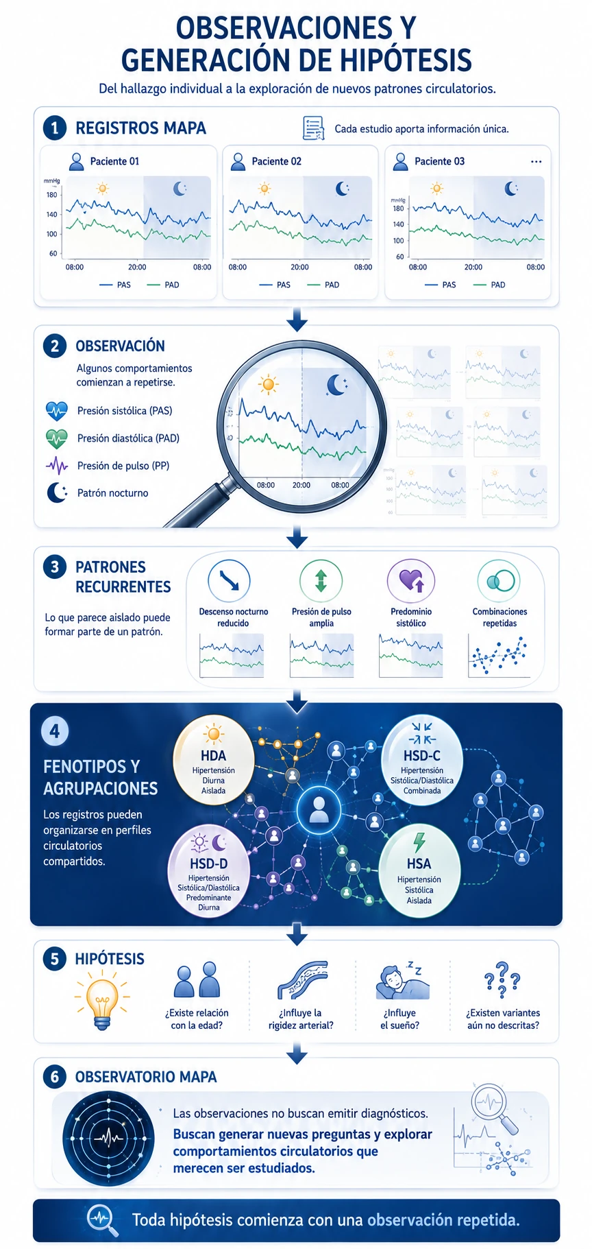 Infografía vertical sobre observaciones, patrones recurrentes y generación de hipótesis a partir del MAPA